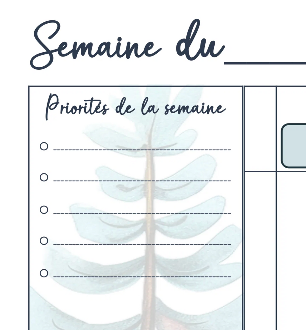 Le planificateur école-maison conçu pour les familles du
Québec