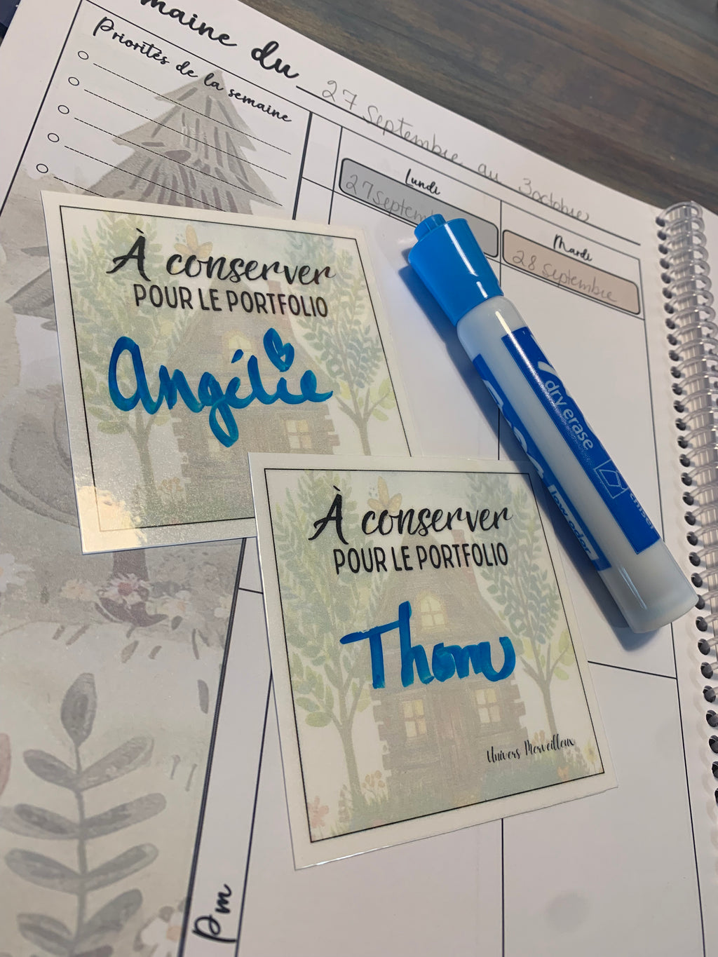 Cartons d'organisation-«À conserver pour le portfolio»